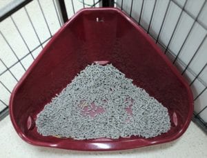 A clean and hygeinic litter tray at our rabbit boarding facility in Melbourne